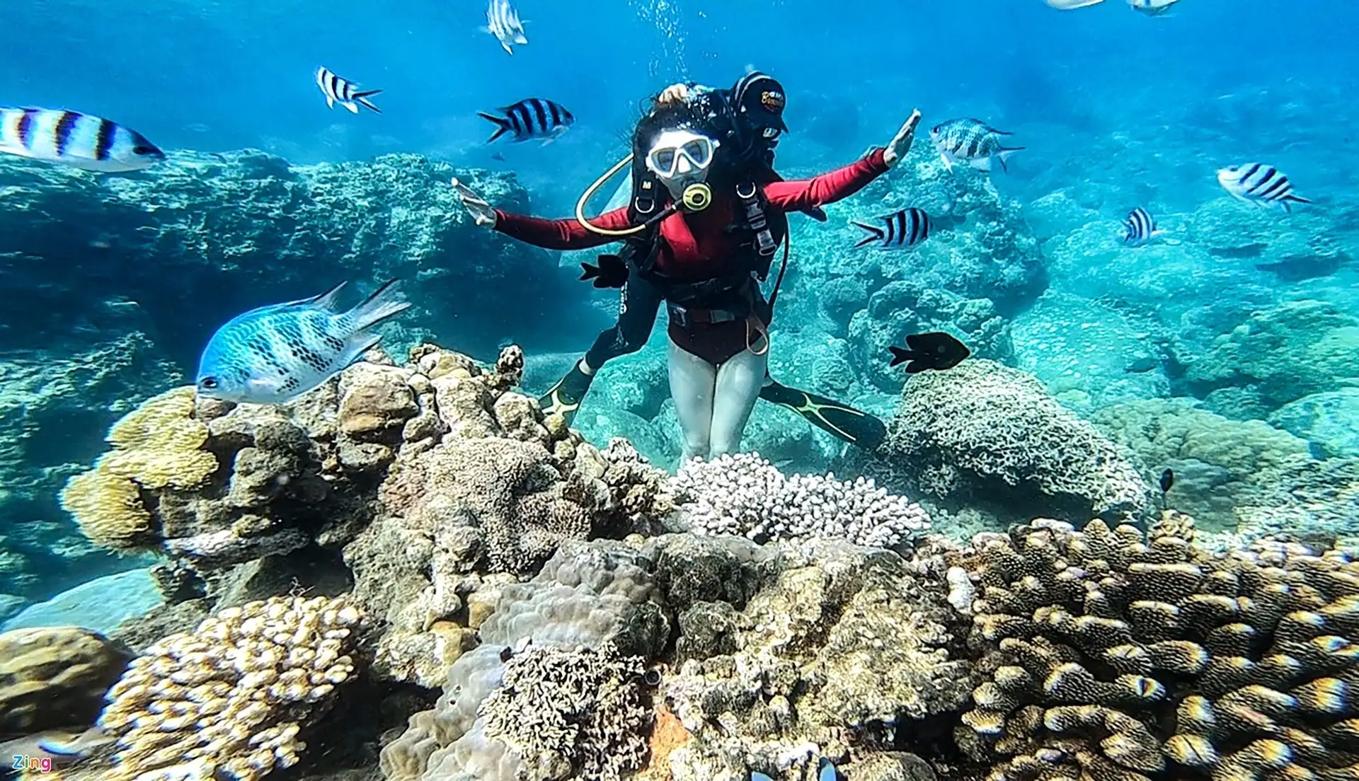 Tourists snorkeling at Cham Islands Vietnam